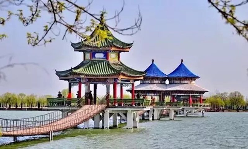 健身潮流：把握科技与健康的结合点